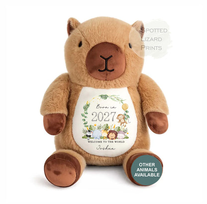 Personalised Baby Soft Toy Born in 2027 | Custom Name Plush Teddy | New Baby Gift | Baby Shower Gift | Baby Girl Boy Keepsake | Welcome