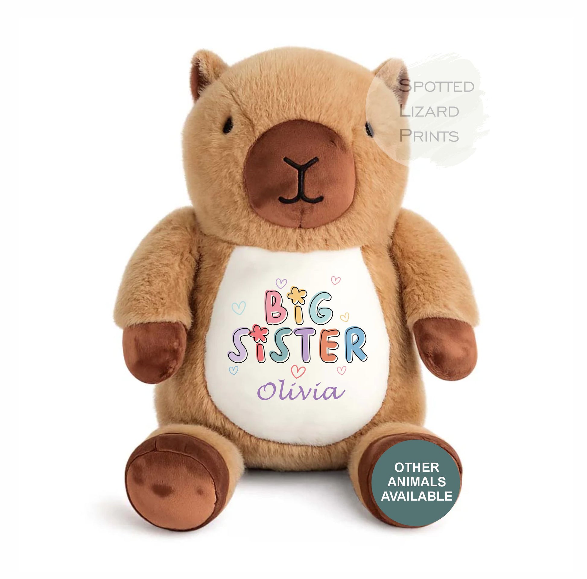 Big Sister, Little Sister Teddy