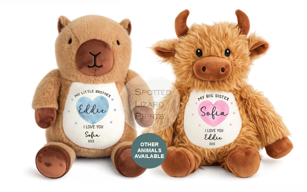 Personalised Big Brother or Big Sister Soft Toy