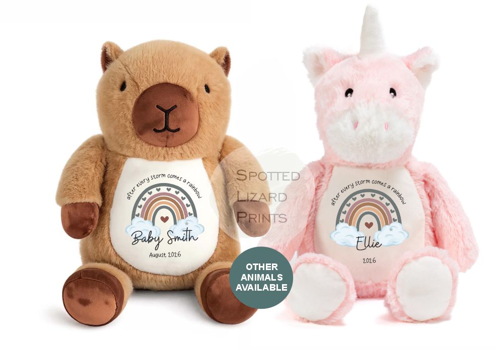 After Every Storm comes a rainbow Baby Teddy