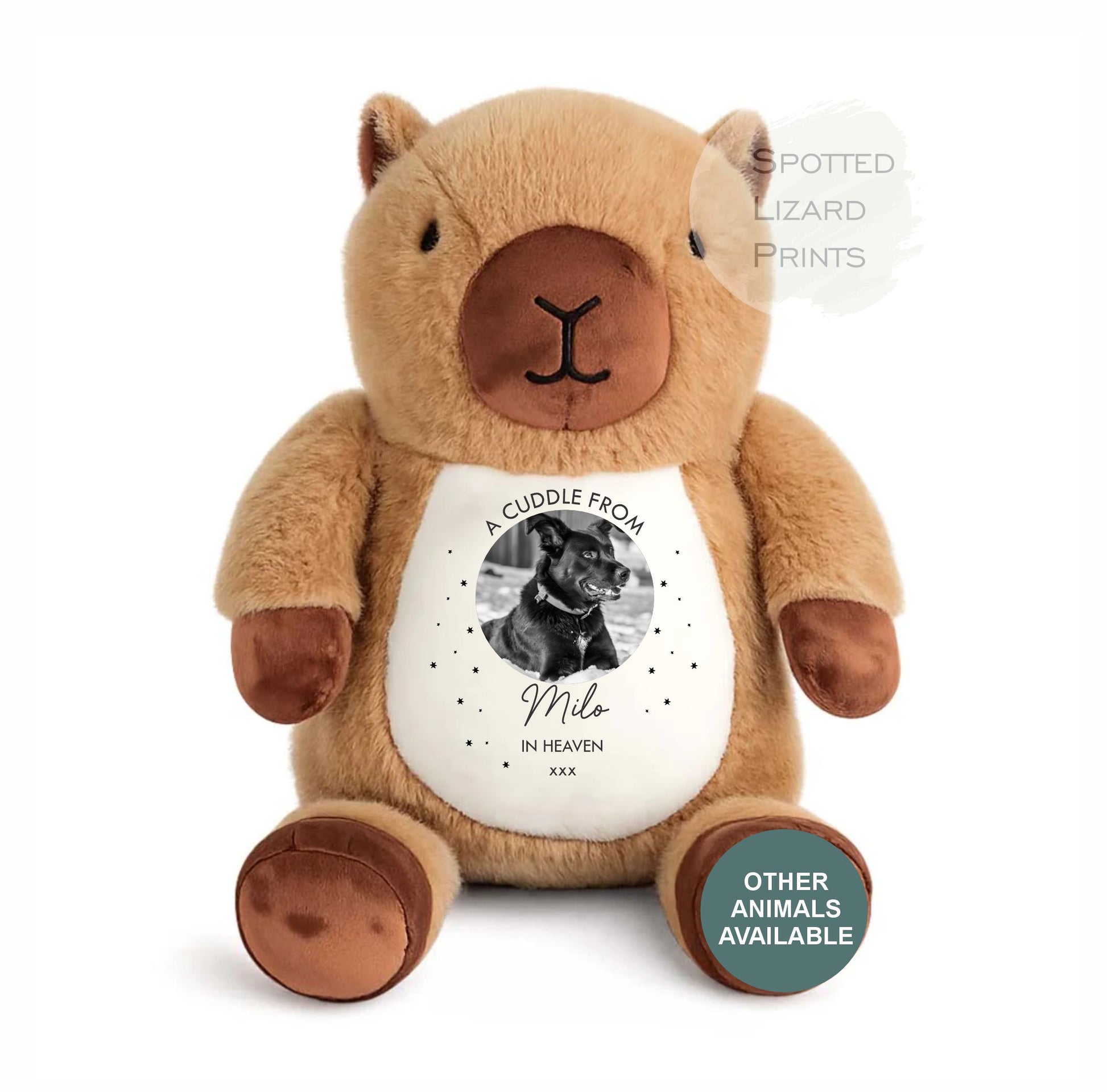 Loss of pet teddy