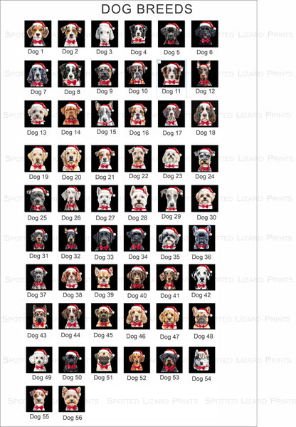 Personalised Christmas Dog Stocking - Personalised Dog Stockings - Dog Christmas Gifts - Pet Christmas Stocking - Dog Christmas Gifts