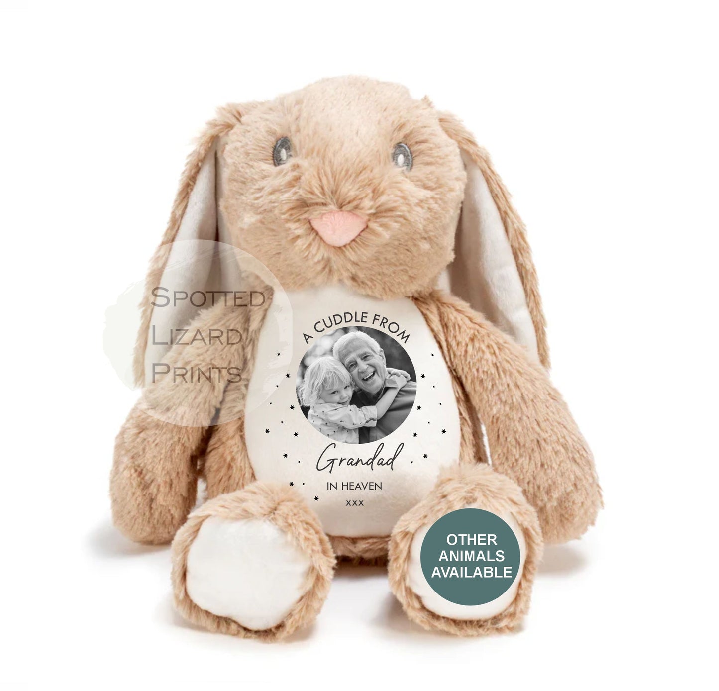 Memory Soft Toy - A Cuddle From Heaven - Memory Gift - Memorial Photo Gift Bereavement Loss of Loved One - Sympathy - Grandparent in Heaven