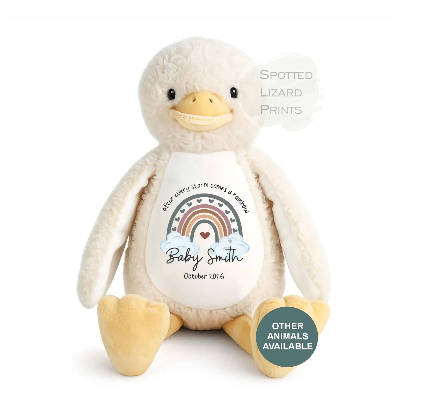 After Every Storm comes a rainbow Baby Teddy