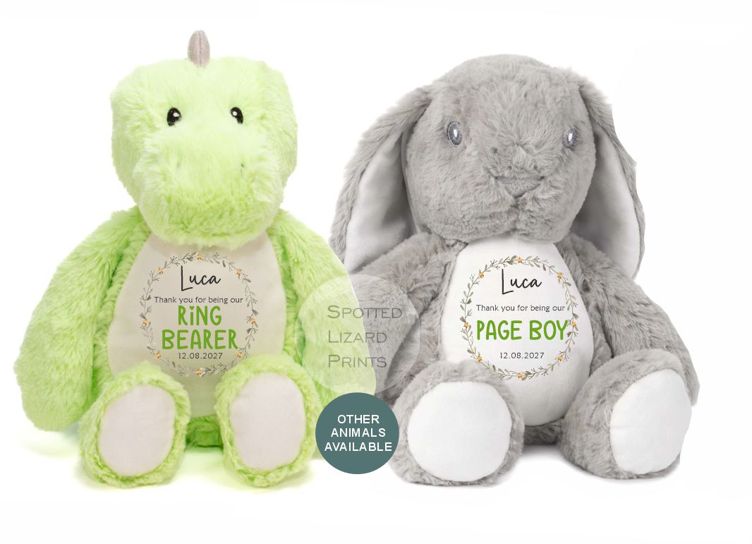 personalised page boy dinosaur