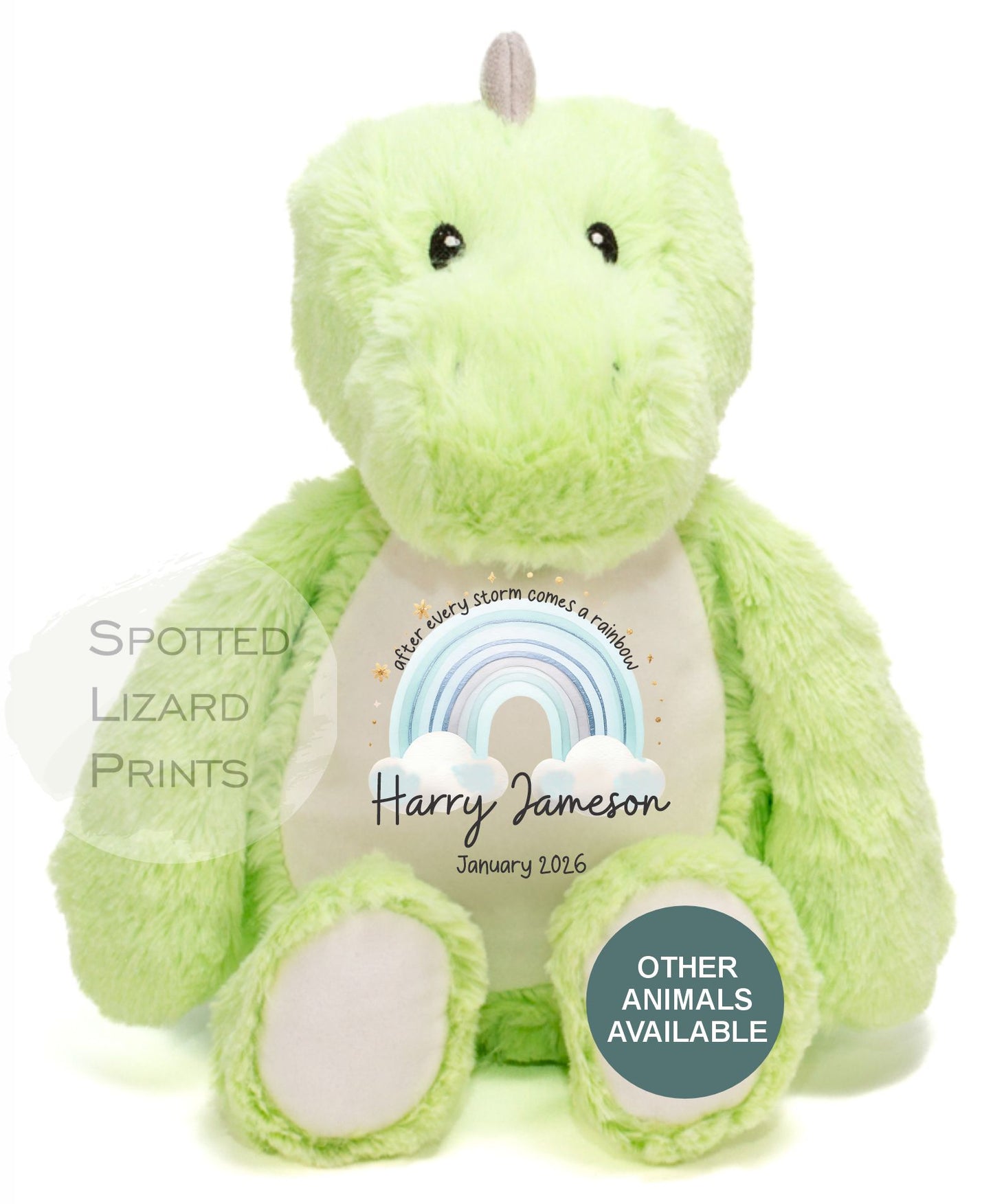 After Every Storm comes a rainbow Baby Teddy - IVF New baby arrival gift, new baby soft toy | miracle baby | rainbow baby