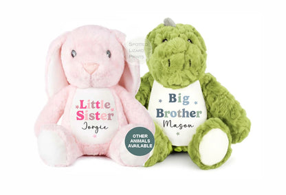 Sibling Teddy, Big Brother & Little Brother Dinosaur Big Sister, Little Sister Unicorn, New Baby Gift Teddy