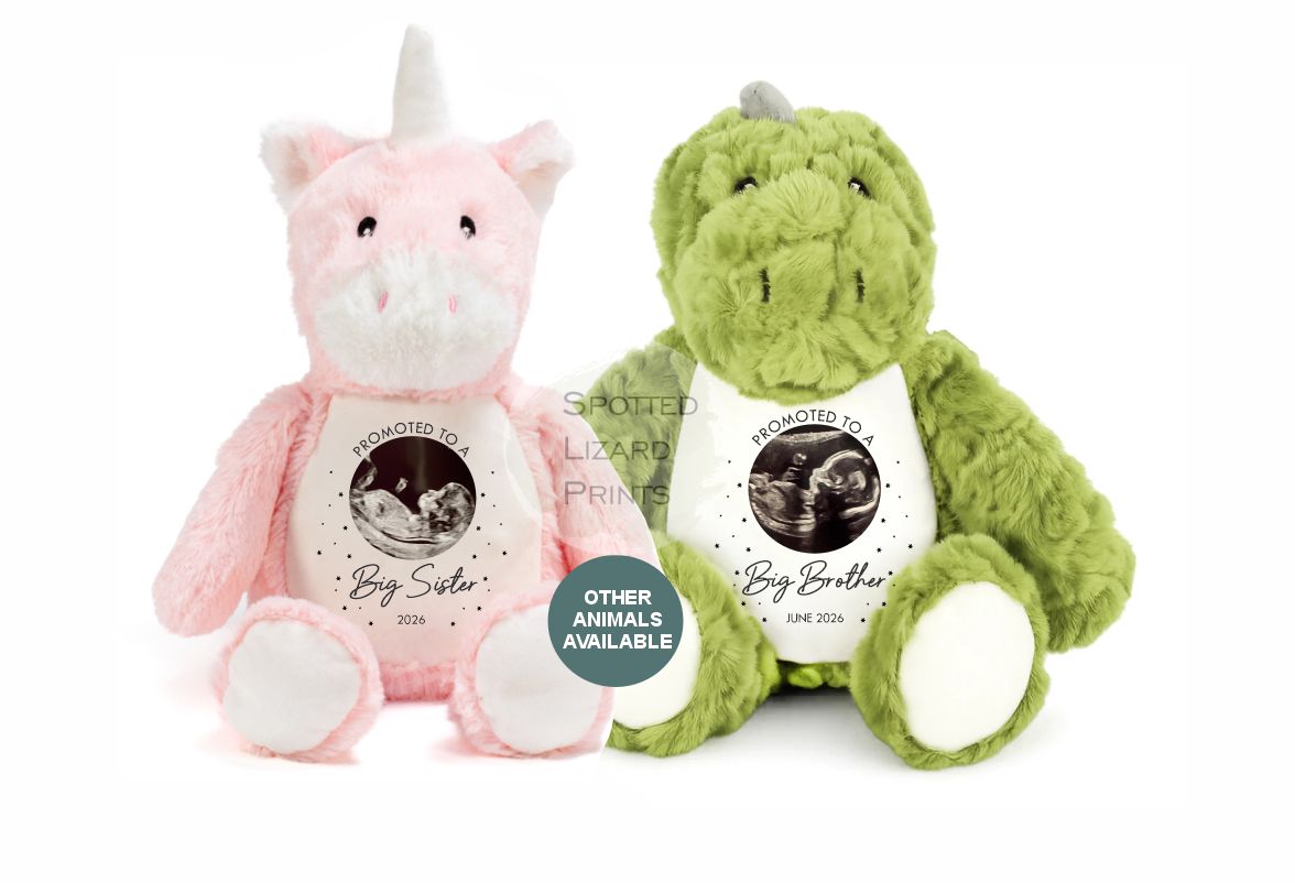 promoted to a big sister teddy