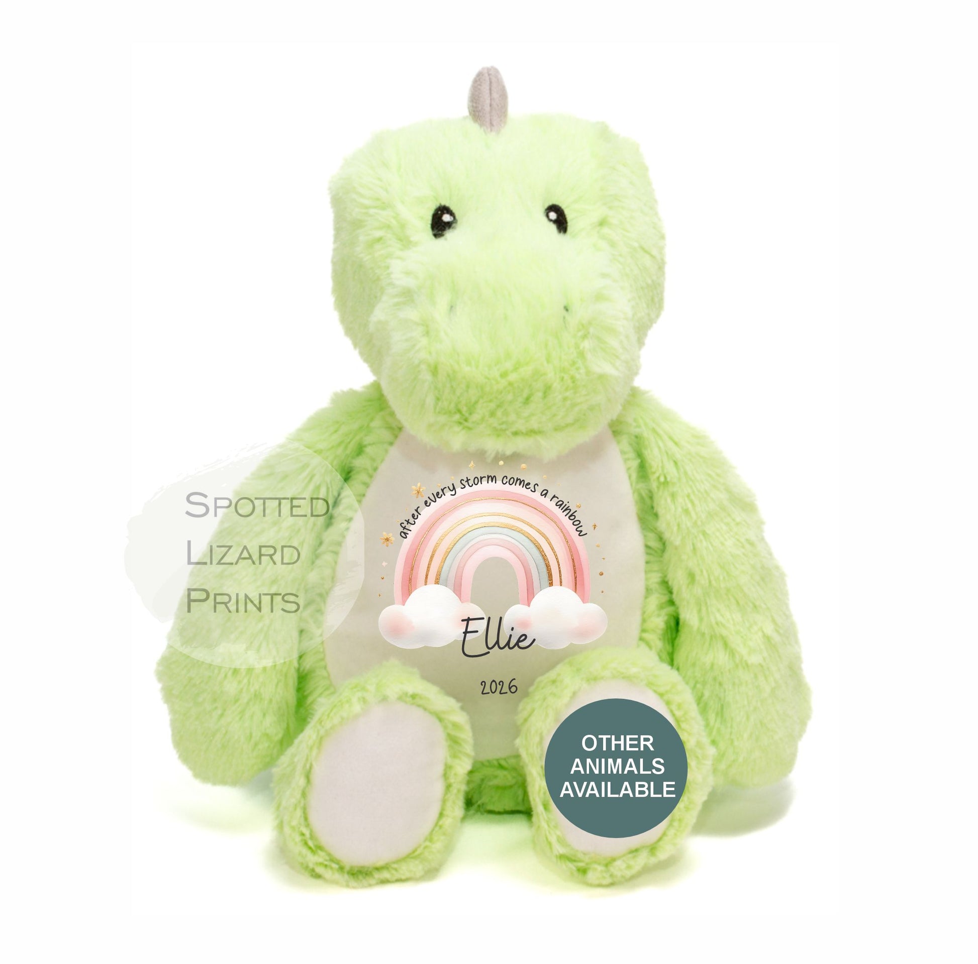 After Every Storm comes a rainbow Baby Teddy