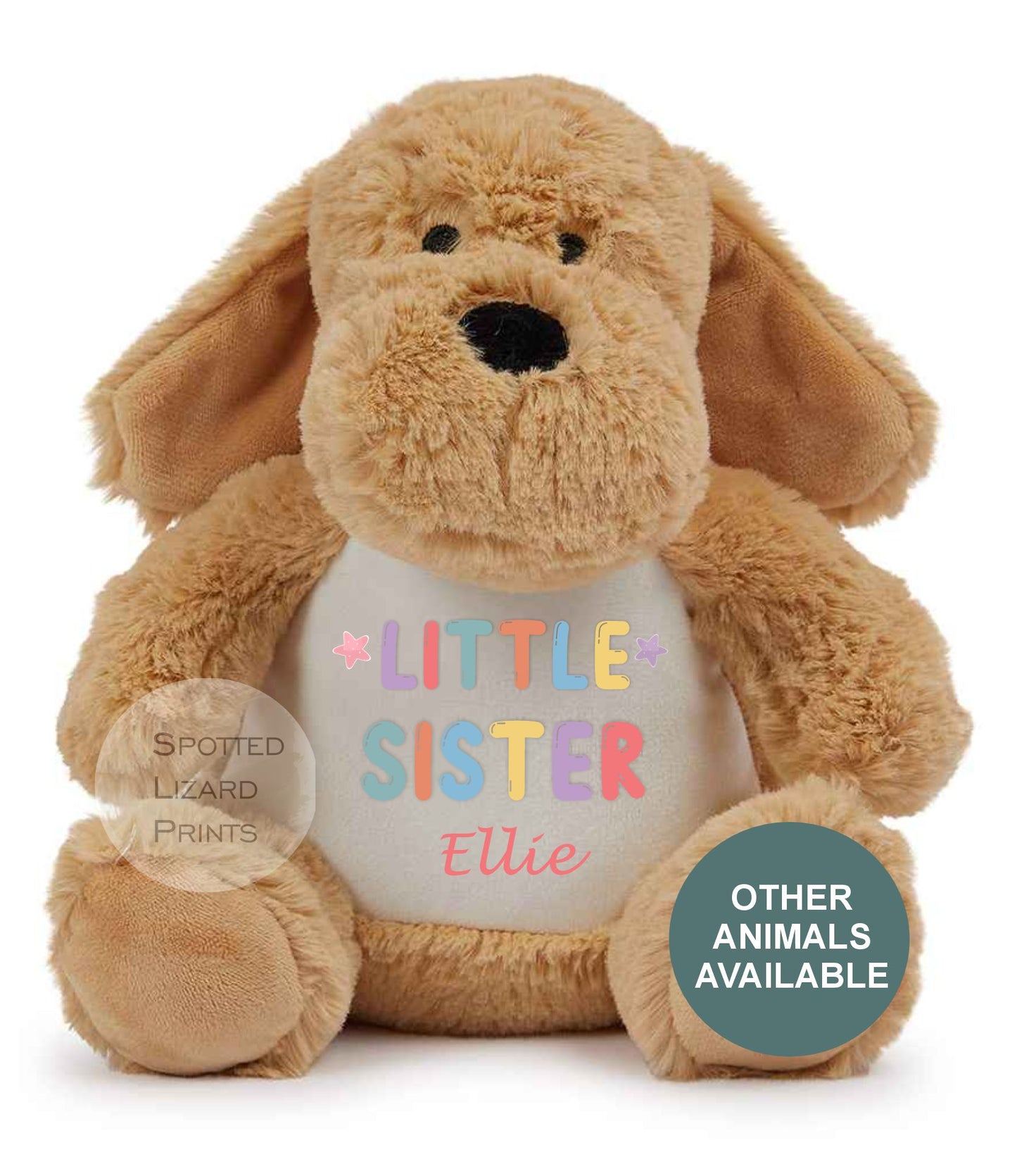 Matching Sibling Teddy, Big Sister & Little Sister Unicorn, Big Brother, Little Brother Dinosaur, New Baby Gift Teddy