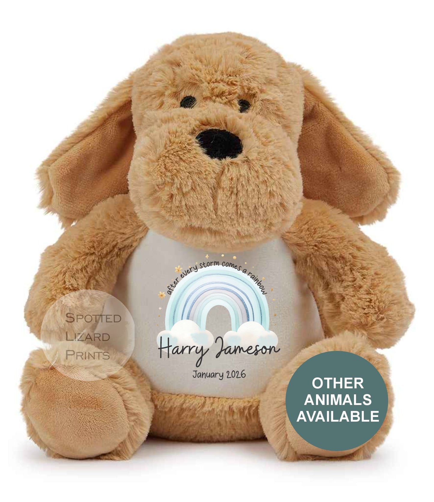 After Every Storm comes a rainbow Baby Teddy - IVF New baby arrival gift, new baby soft toy | miracle baby | rainbow baby
