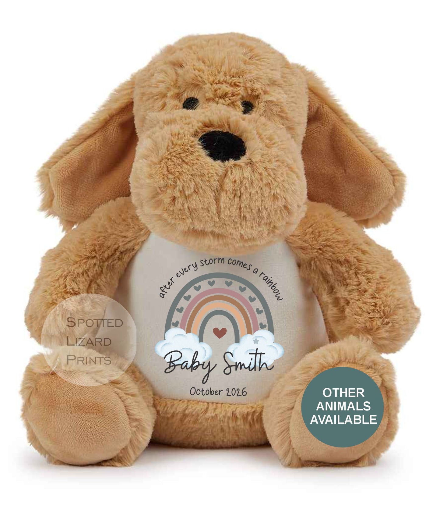 After Every Storm comes a rainbow Baby Teddy