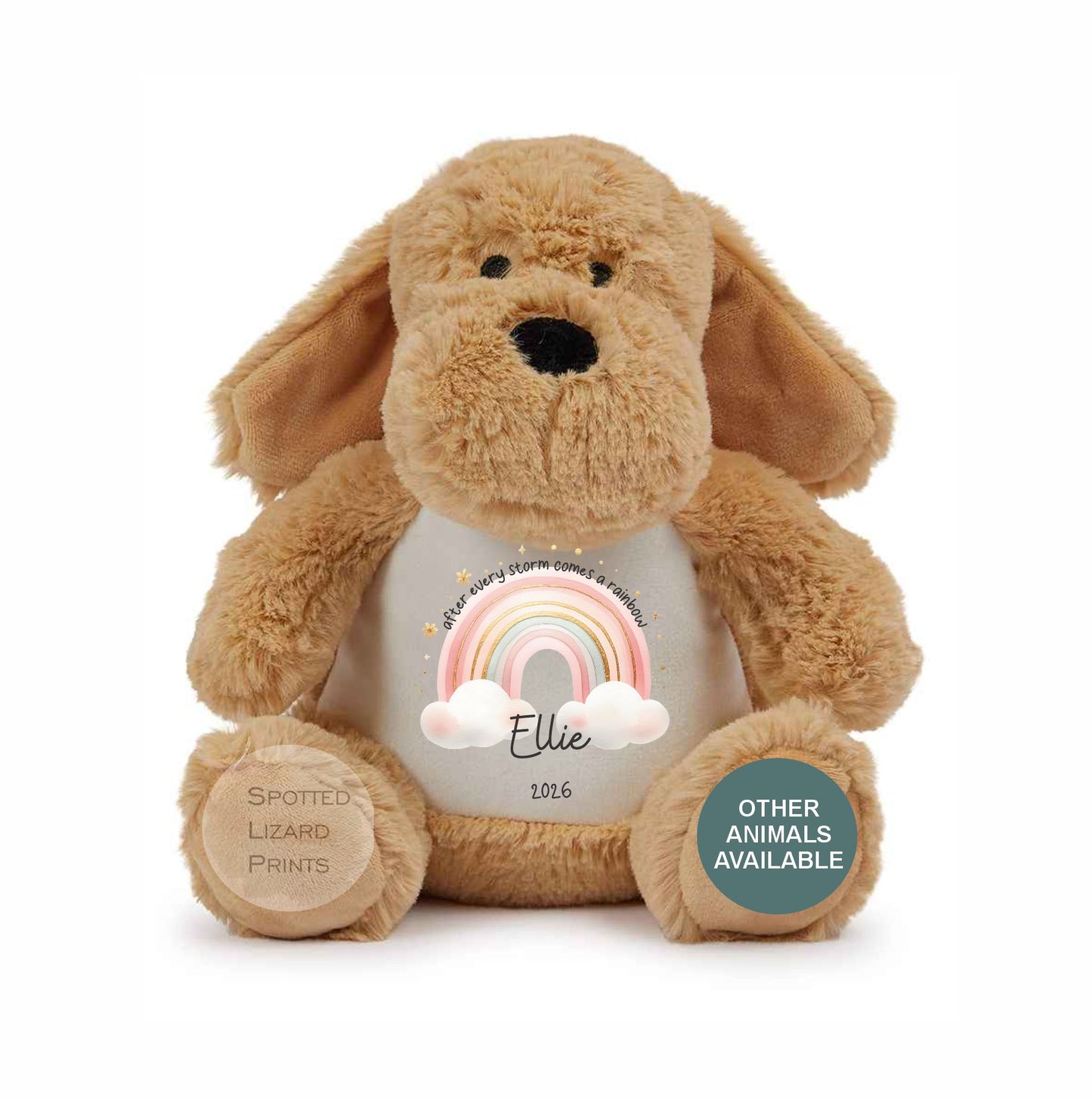 After Every Storm comes a rainbow Baby Teddy