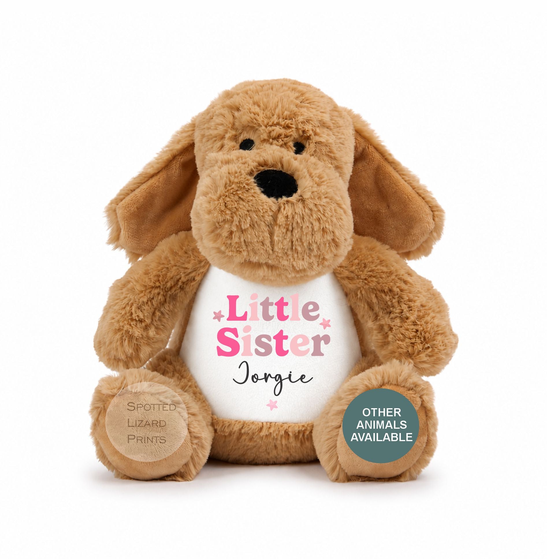 Sibling Teddy, Big Brother & Little Brother Dinosaur Big Sister, Little Sister Unicorn, New Baby Gift Teddy