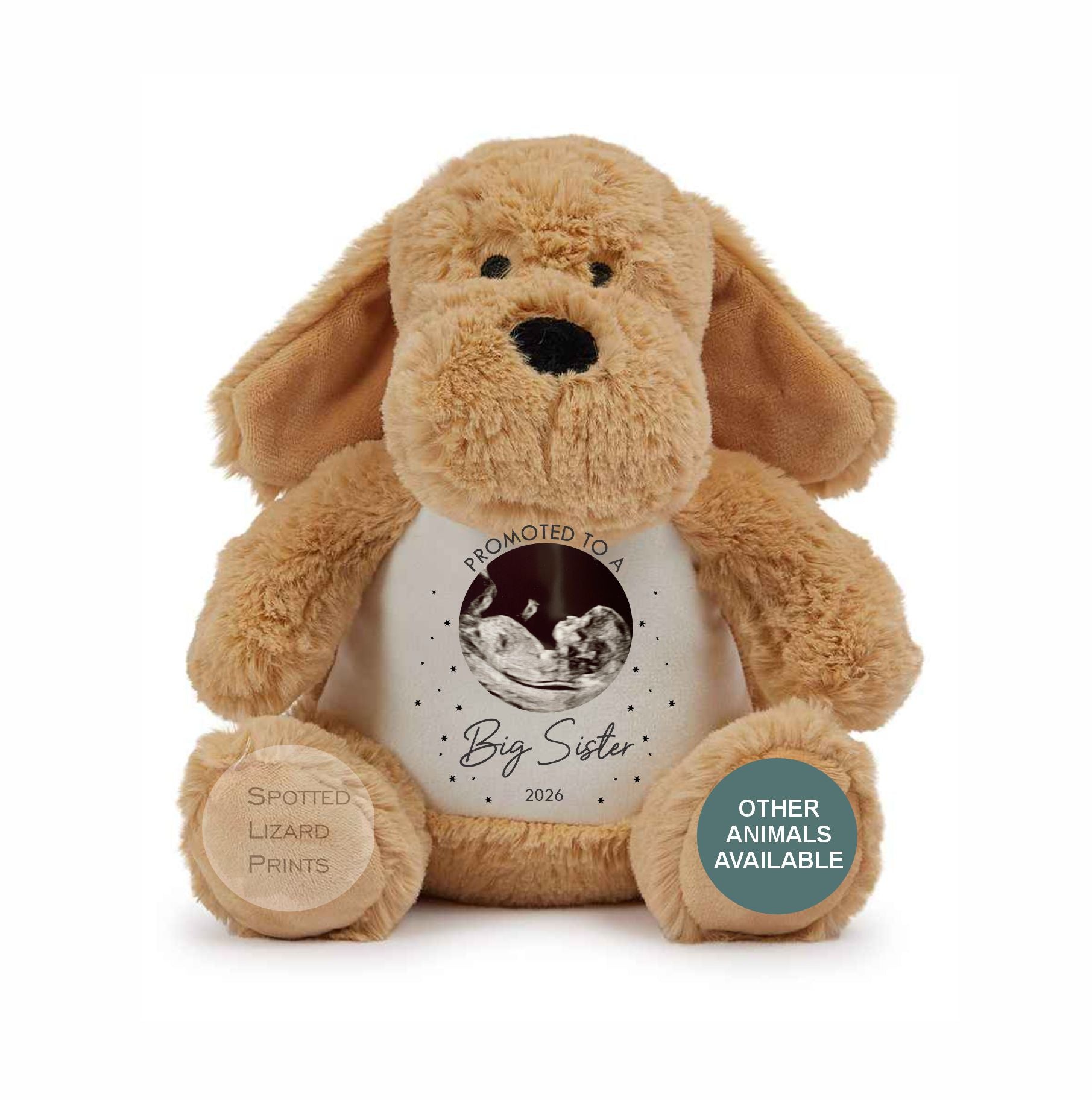 promoted to a big sister teddy