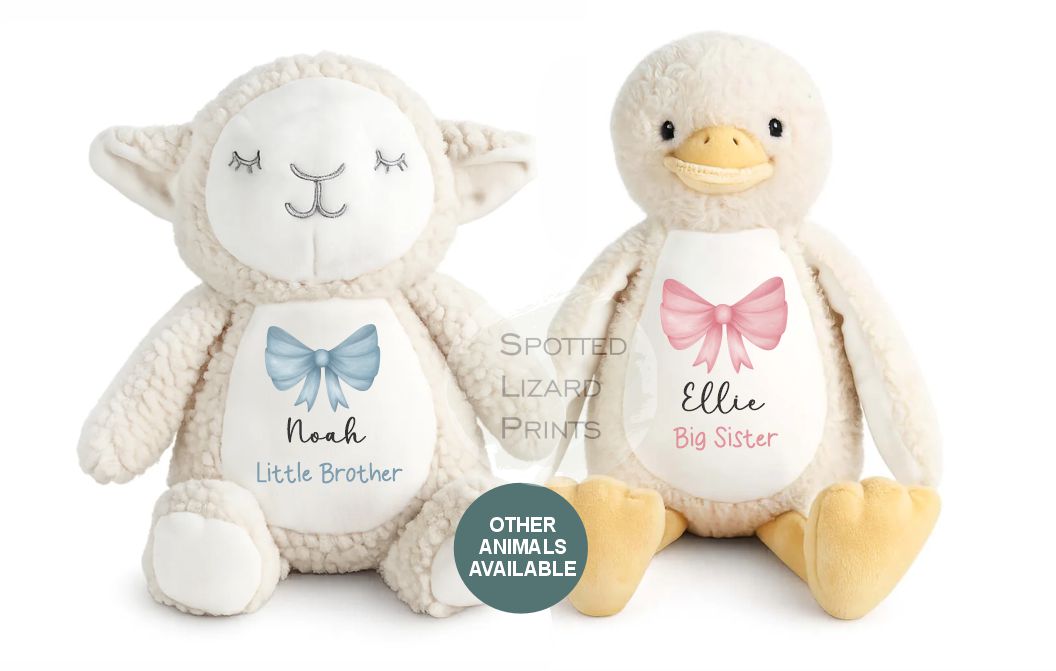 Little Brother Big Sister Teddy