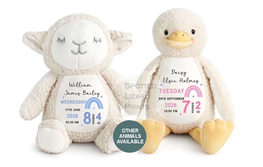 Personalised New Baby Bunny Rabbit Soft Toy Gift - Birth Stats Teddy Bear - Newborn Baby Gift - Baby Keepsake -Soft Toy - Baby Shower Gift