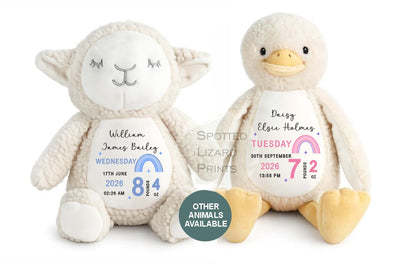 Personalised New Baby Bunny Rabbit Soft Toy Gift - Birth Stats Teddy Bear - Newborn Baby Gift - Baby Keepsake -Soft Toy - Baby Shower Gift