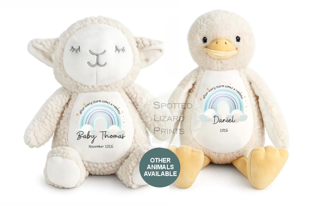 After Every Storm comes a rainbow Baby Teddy