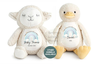 After Every Storm comes a rainbow Baby Teddy