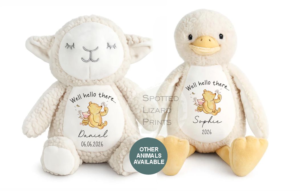 personalised new baby teddy