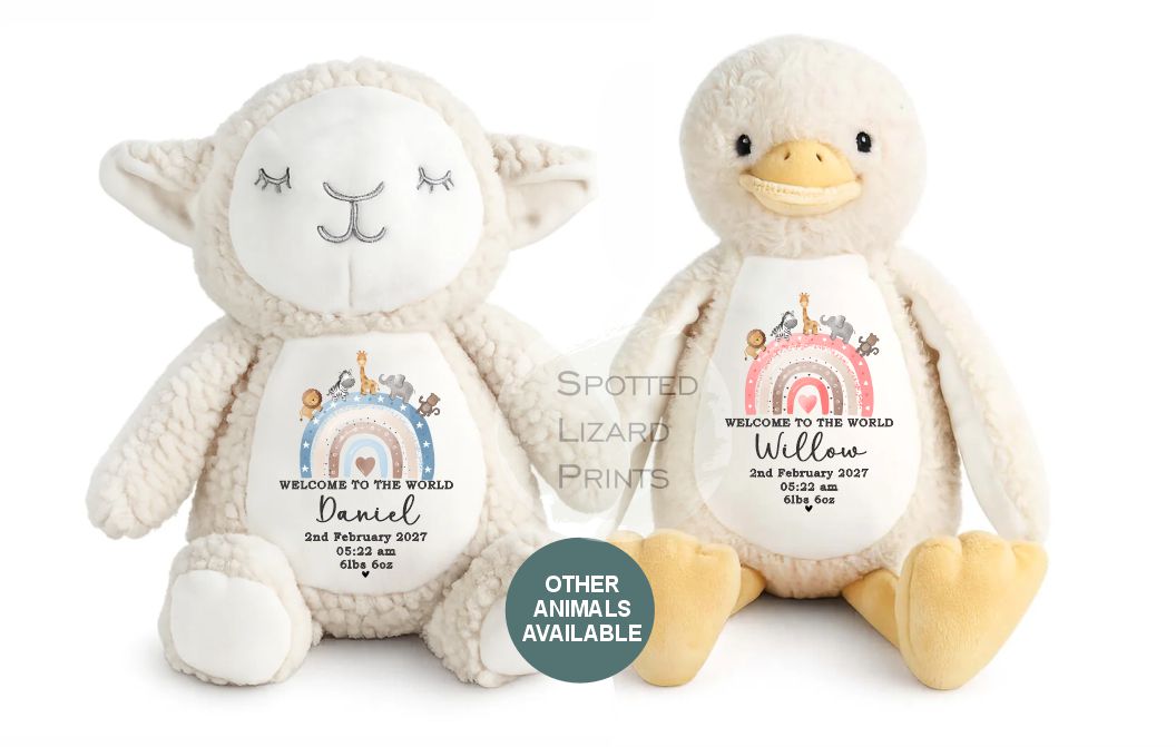 Personalised Born in 2027 Baby Teddy