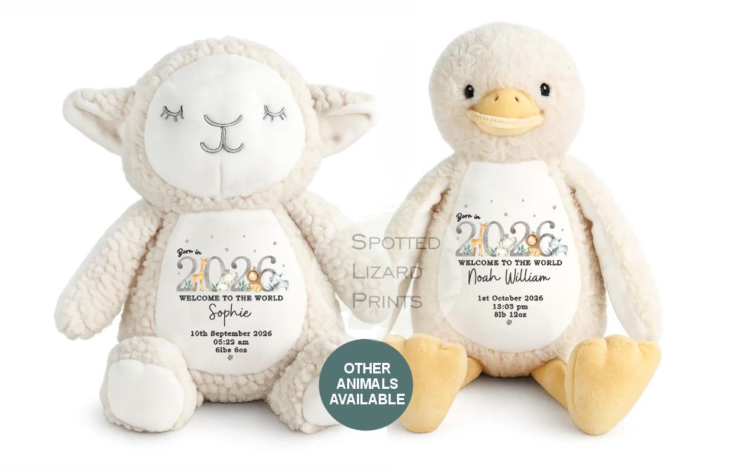 personalised born in 2026 teddy