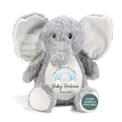 After Every Storm comes a rainbow Baby Teddy - IVF New baby arrival gift, new baby soft toy | miracle baby | rainbow baby