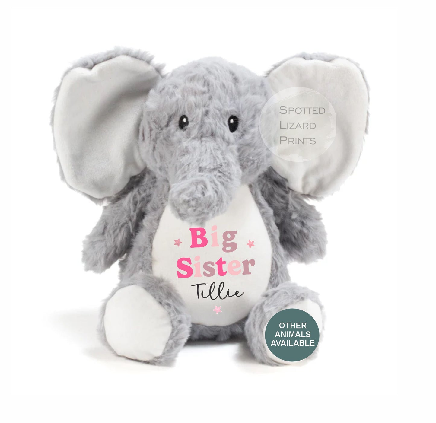 Sibling Teddy, Big Brother & Little Brother Dinosaur Big Sister, Little Sister Unicorn, New Baby Gift Teddy