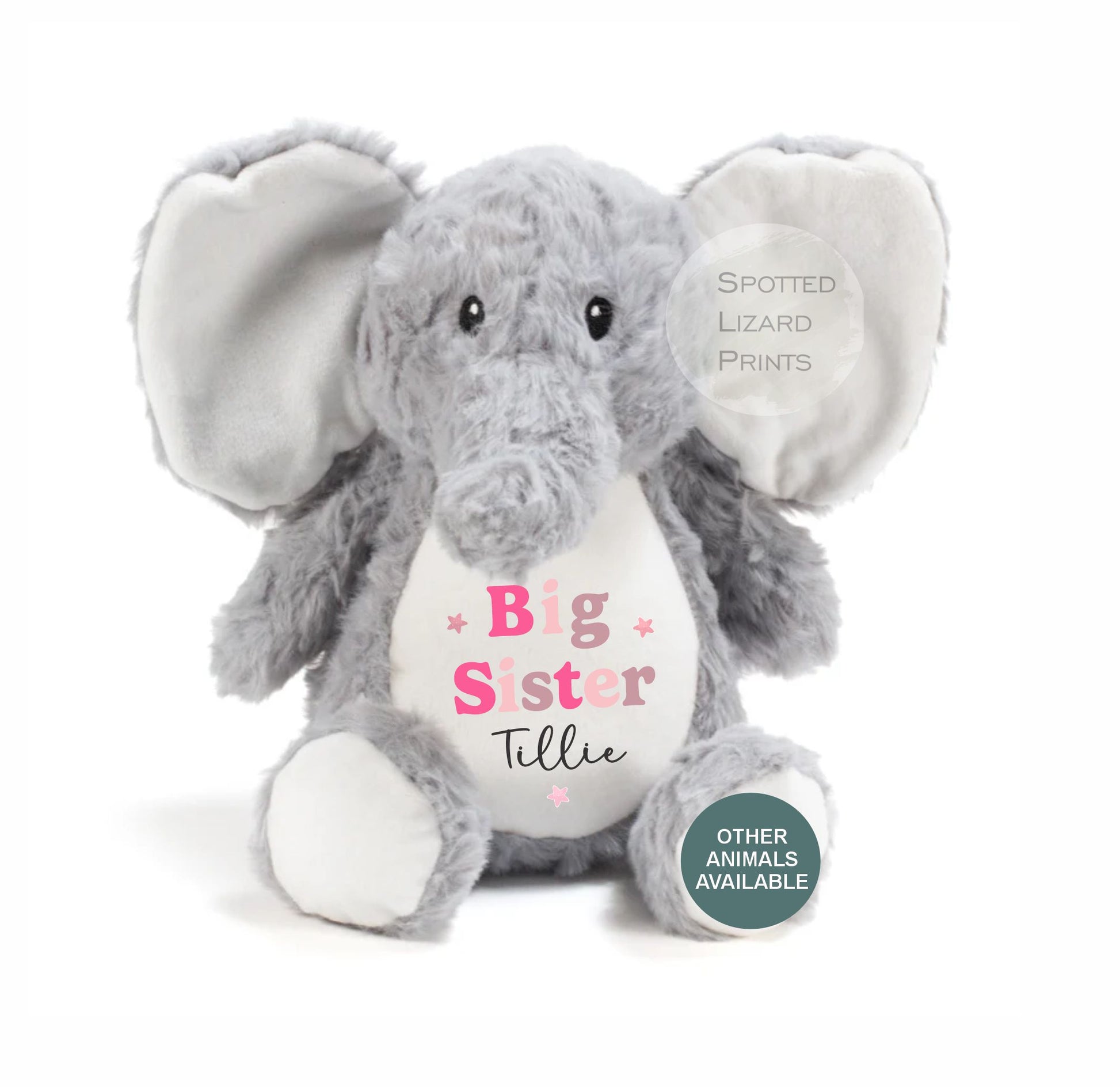 Sibling Teddy, Big Brother & Little Brother Dinosaur Big Sister, Little Sister Unicorn, New Baby Gift Teddy