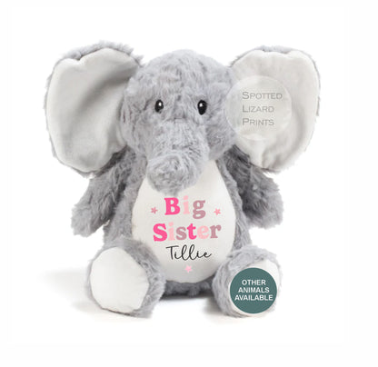Sibling Teddy, Big Brother & Little Brother Dinosaur Big Sister, Little Sister Unicorn, New Baby Gift Teddy