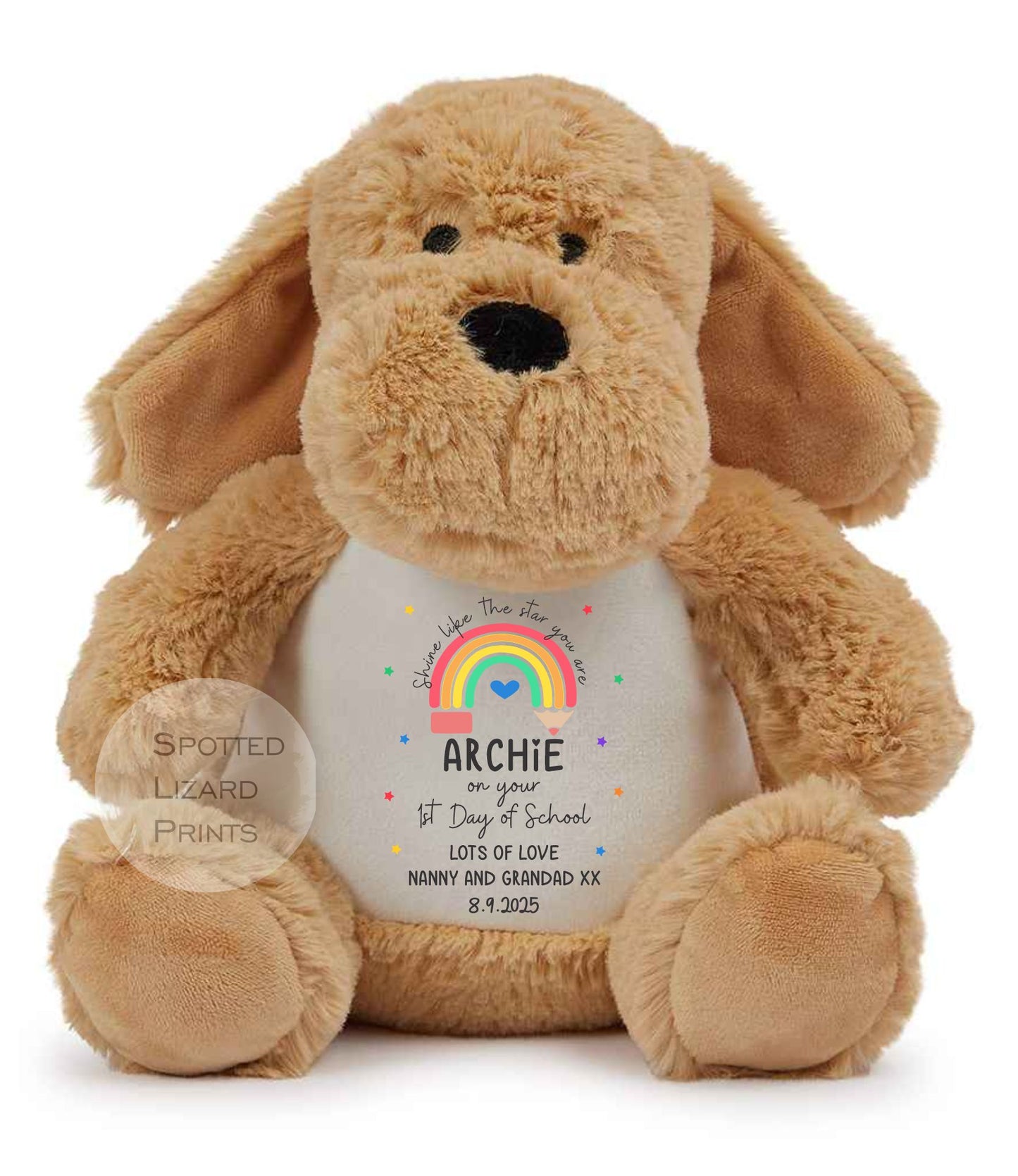 First Day Of School Good Luck Gift, Back To School, Primary Secondary School, Son Daughter, First Day At School or First Day of Nursery Teddy