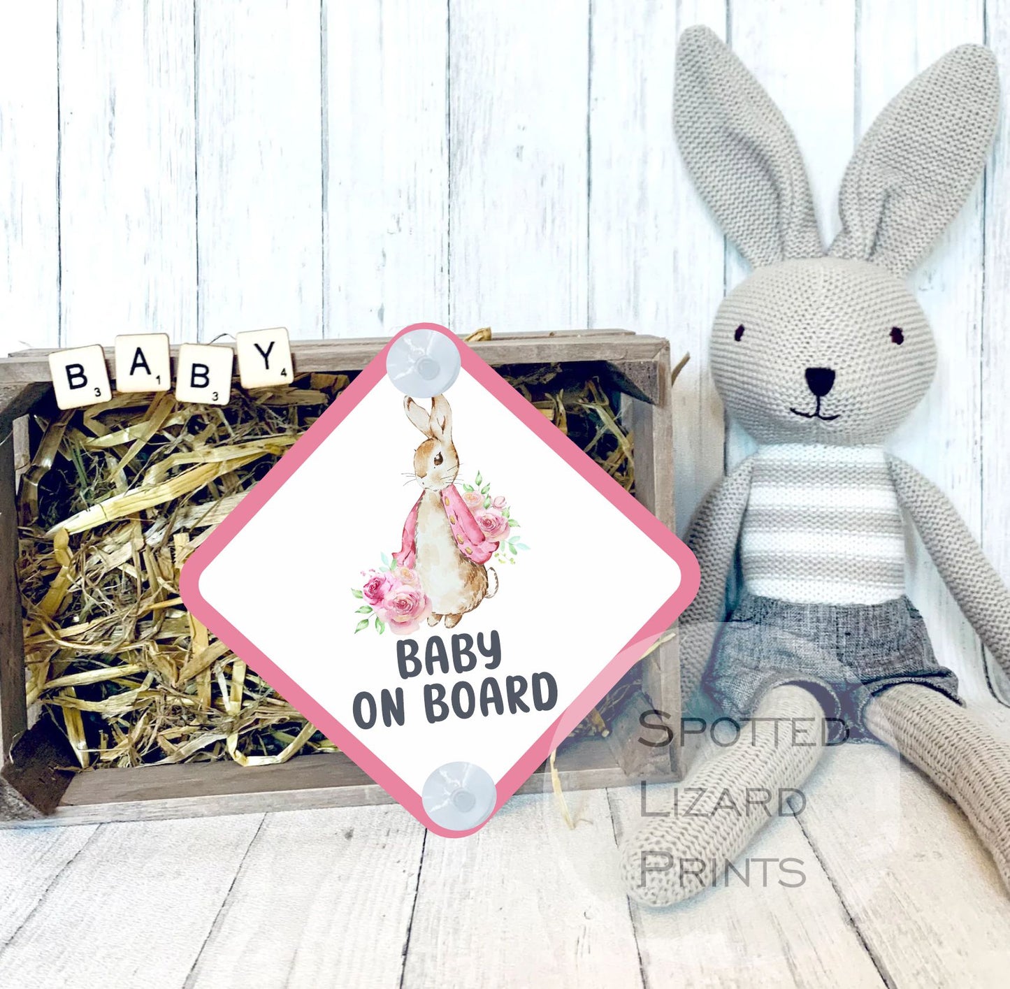 Peter Rabbit Baby on Board Car Sign - Baby on Board | Child on Board