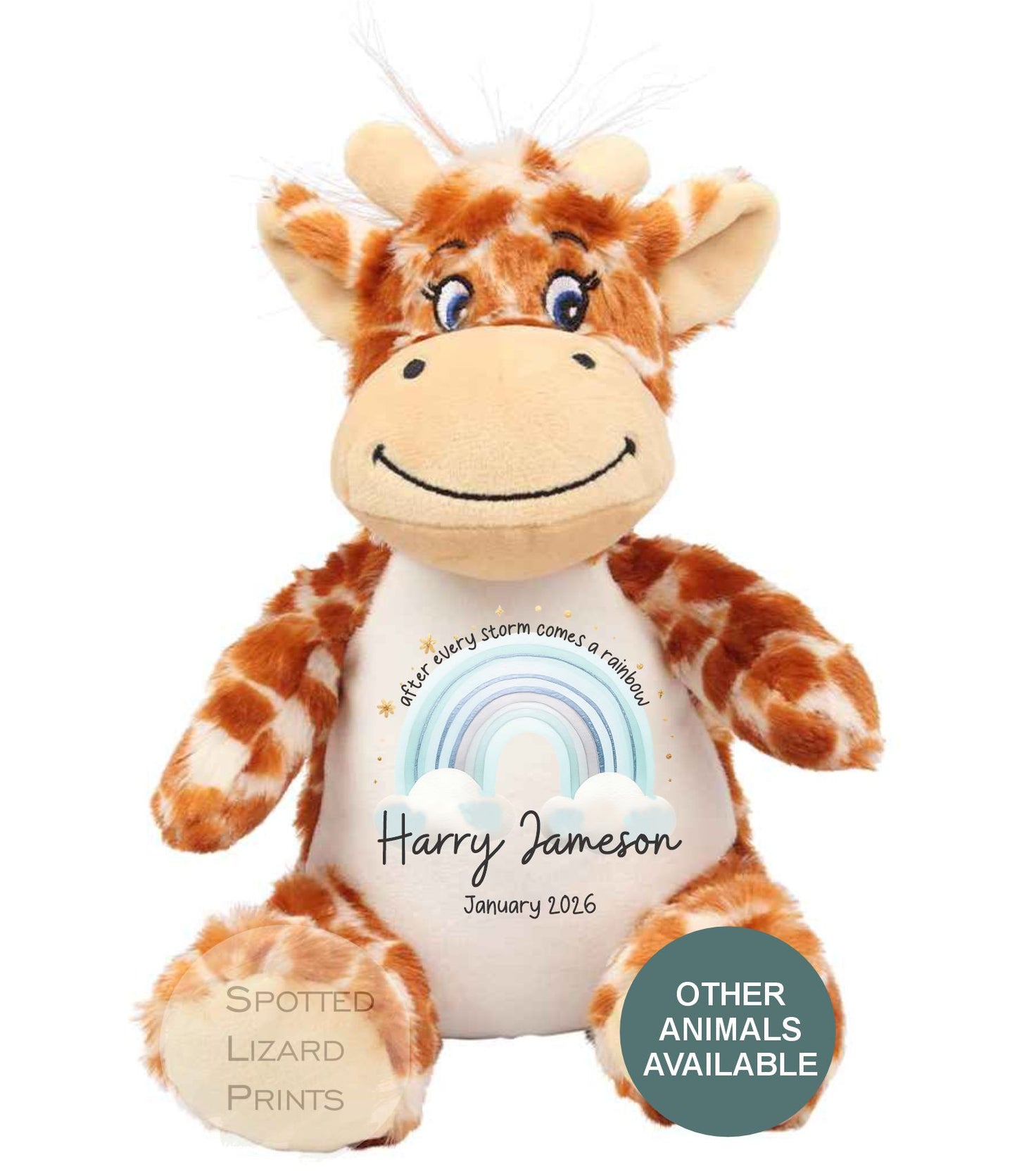 After Every Storm comes a rainbow Baby Teddy - IVF New baby arrival gift, new baby soft toy | miracle baby | rainbow baby