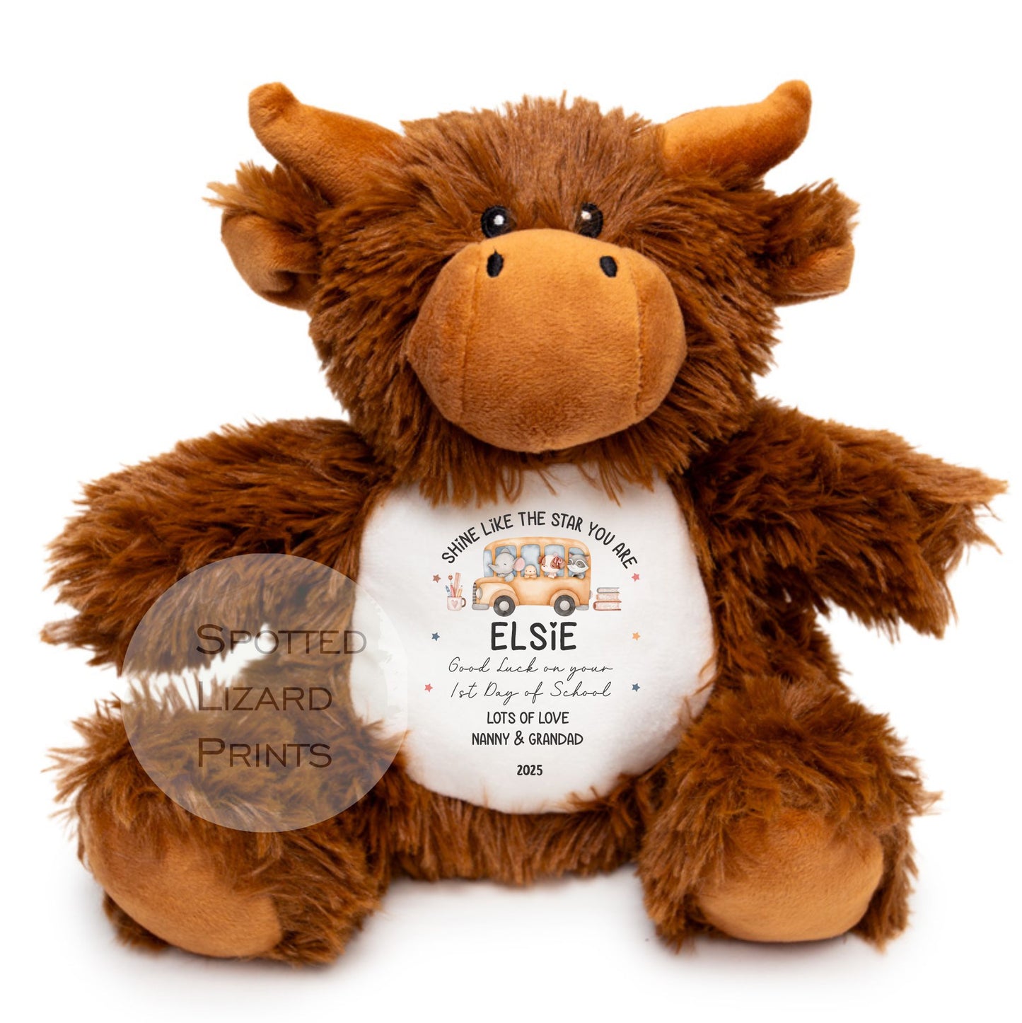 First Day Of School Good Luck Gift, Back To School, Primary Secondary School, Son Daughter, First Day At School or First Day of Nursery Teddy