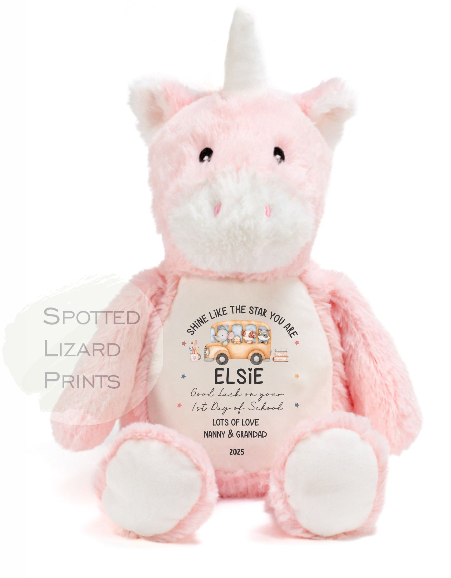 First Day Of School Good Luck Gift, Back To School, Primary Secondary School, Son Daughter, First Day At School or First Day of Nursery Teddy