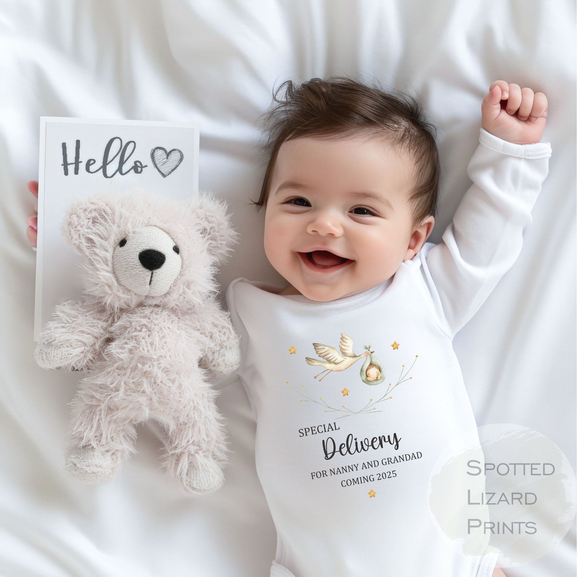 Personalised Special Delivery Stork Baby Announcement Vest/Romper Pregnancy Reveal Newborn Baby Shower Gift New Mummy and Daddy Vest