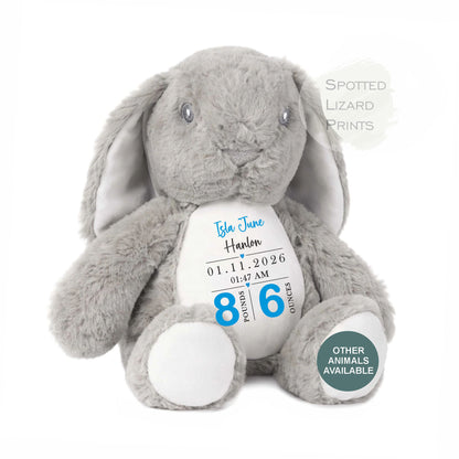 Personalised Soft Toy,New Birth Gift,Baby Shower Gift,New Baby Gift,Baby Keepsake, Baby Boy,Newborn Gift, Bunny Toy, Teddy,New Parents