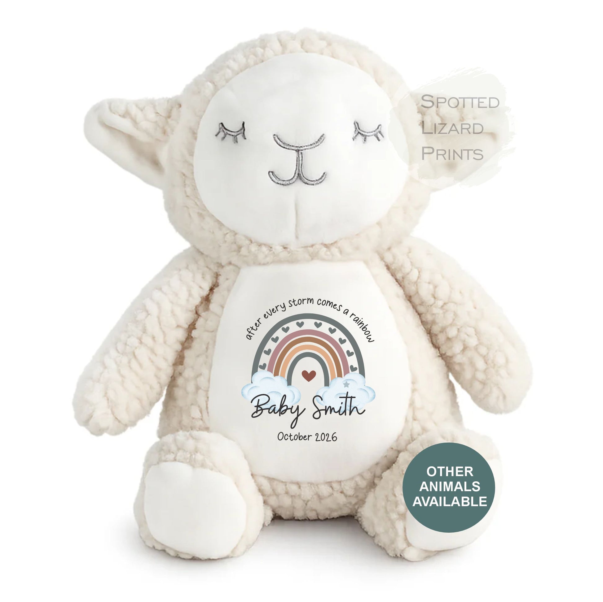 After Every Storm comes a rainbow Baby Teddy