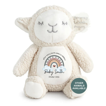 After Every Storm comes a rainbow Baby Teddy