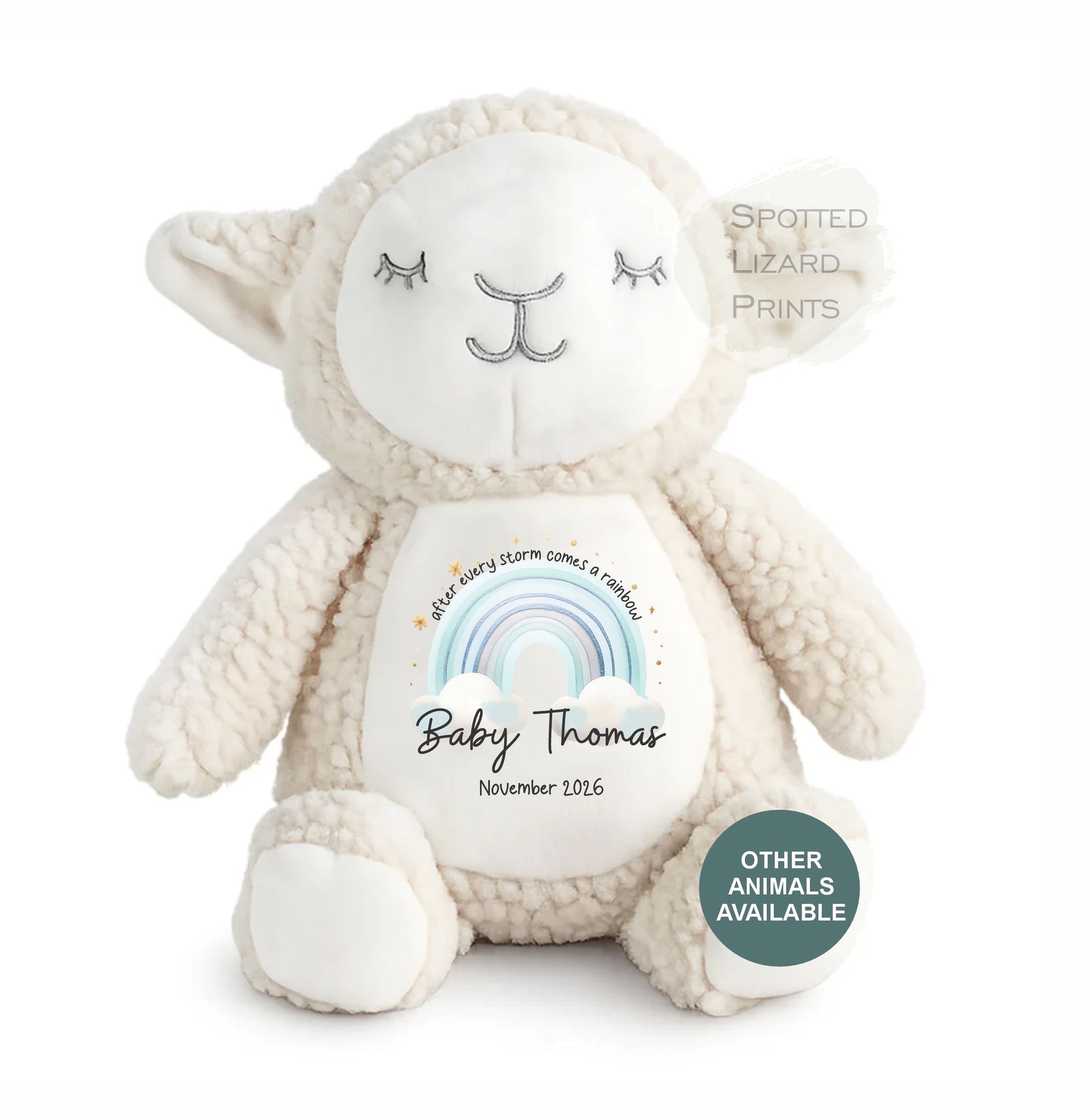 After Every Storm comes a rainbow Baby Teddy