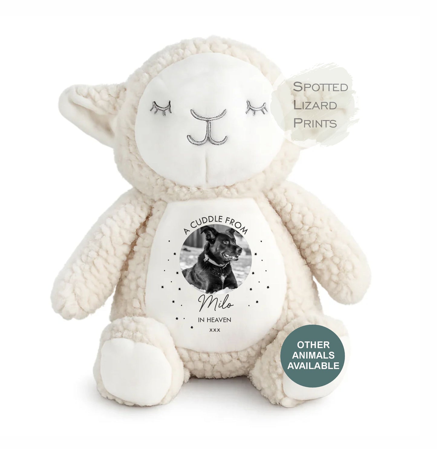Loss of pet teddy