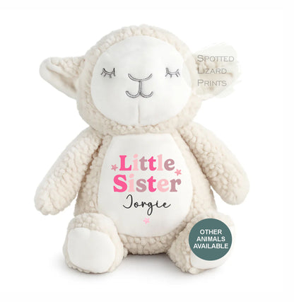 Sibling Teddy, Big Brother & Little Brother Dinosaur Big Sister, Little Sister Unicorn, New Baby Gift Teddy