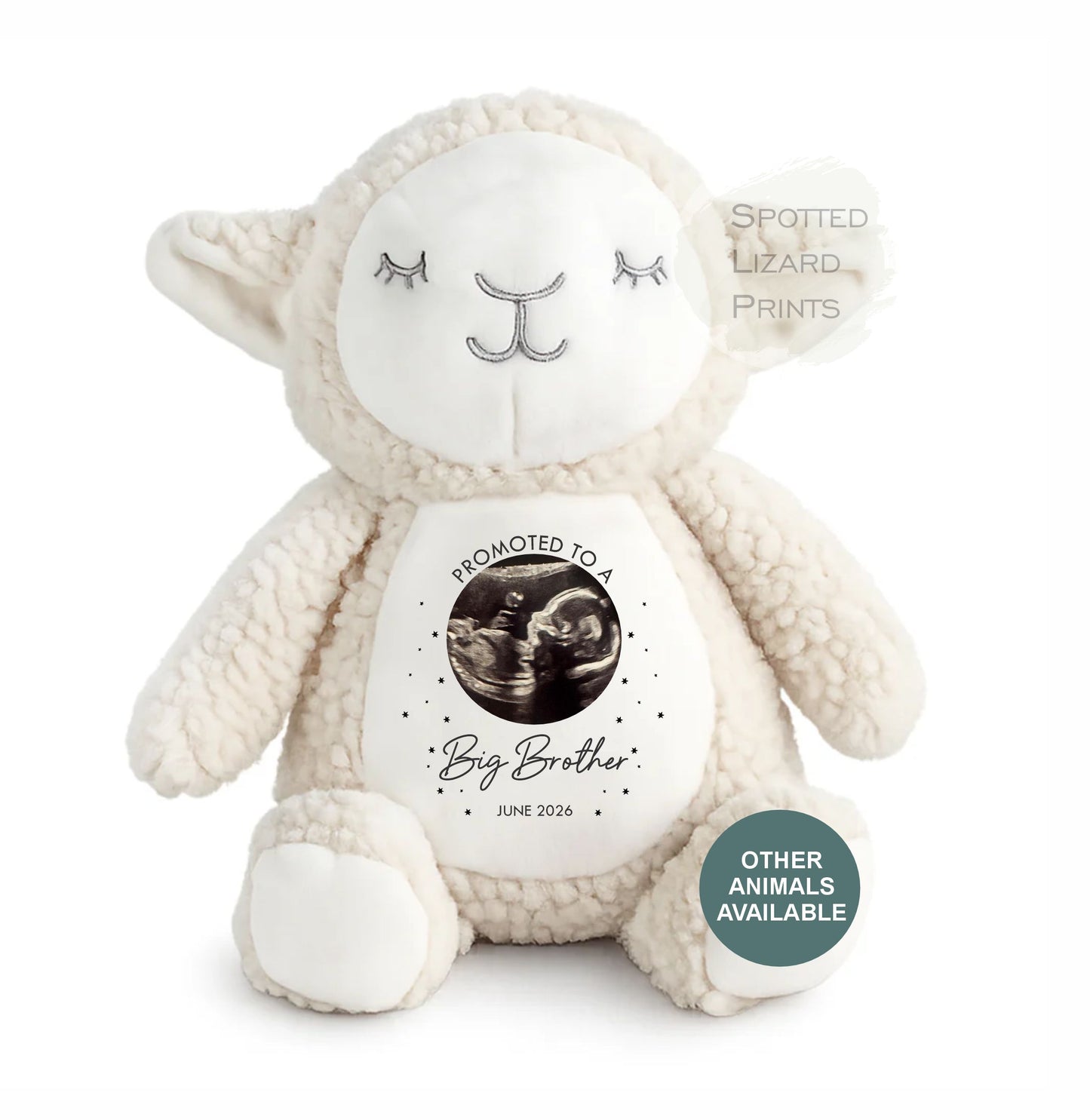 promoted to a big brother teddy