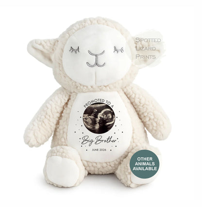 promoted to a big brother teddy