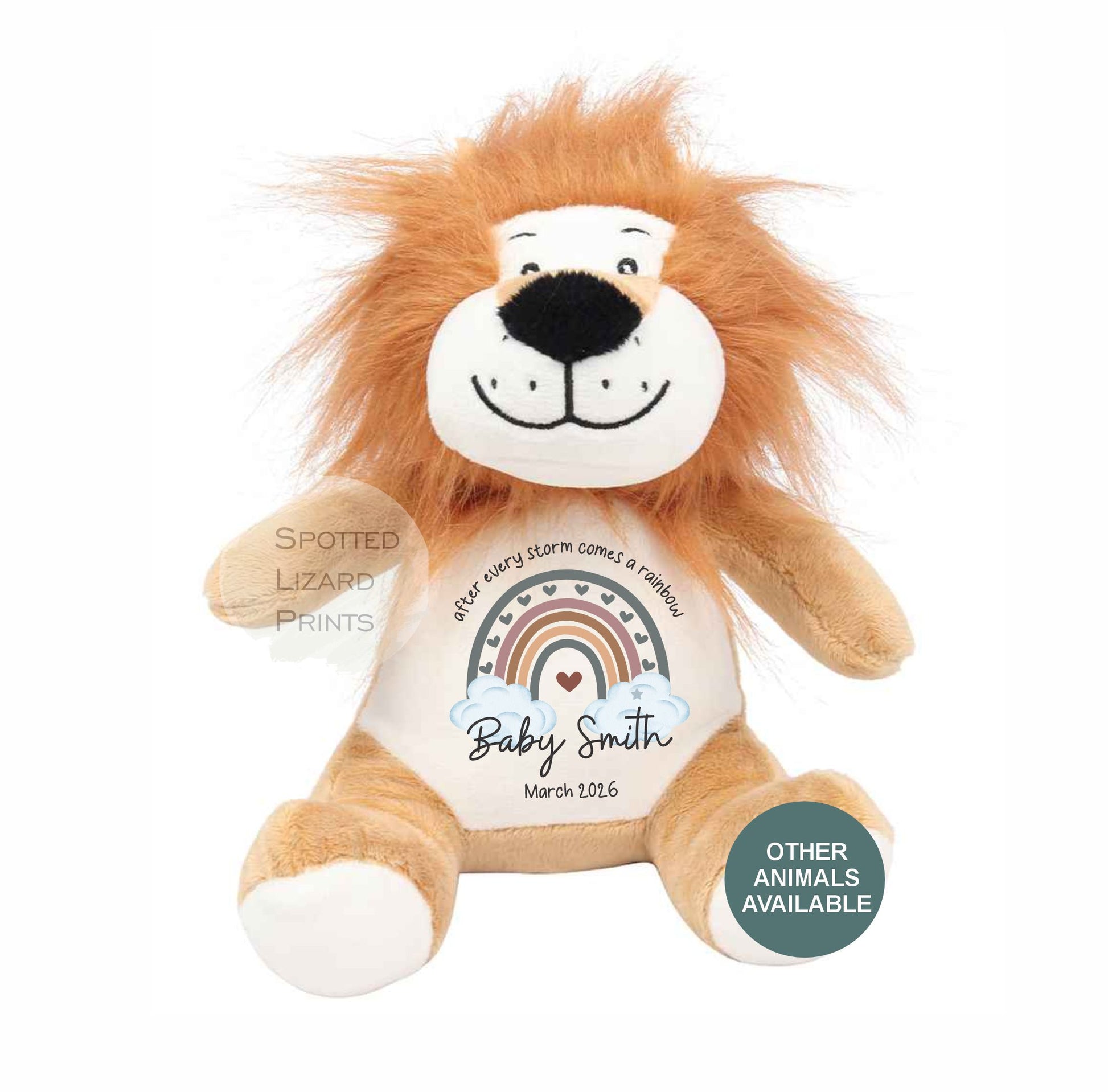 After Every Storm comes a rainbow Baby Teddy