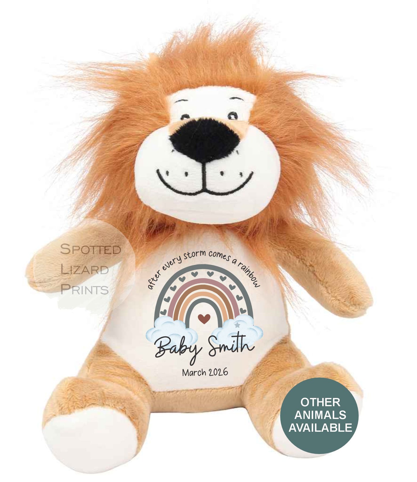 After Every Storm comes a rainbow Baby Teddy - IVF New baby arrival gift, new baby soft toy | miracle baby | rainbow baby