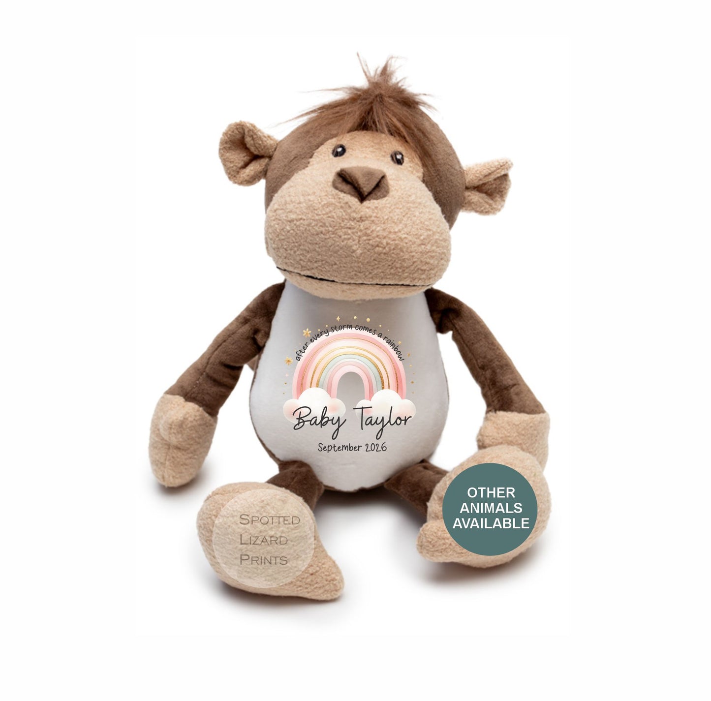 After Every Storm comes a rainbow Baby Teddy