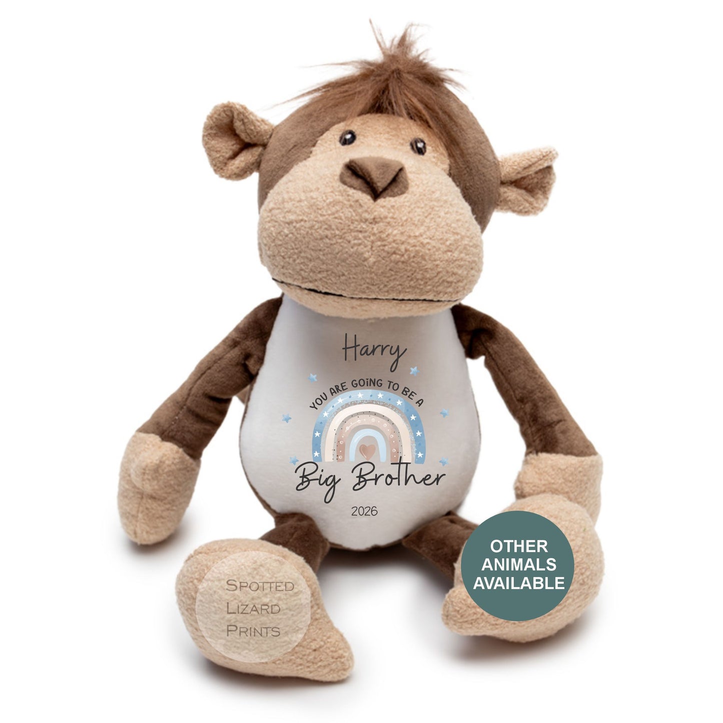 Personalised New Baby Gift, Going to be a big sister, Pregnancy reveal, Big sister Gift, Promoted to Big Brother, Promoted to Big Sister