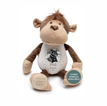 Loss of pet teddy